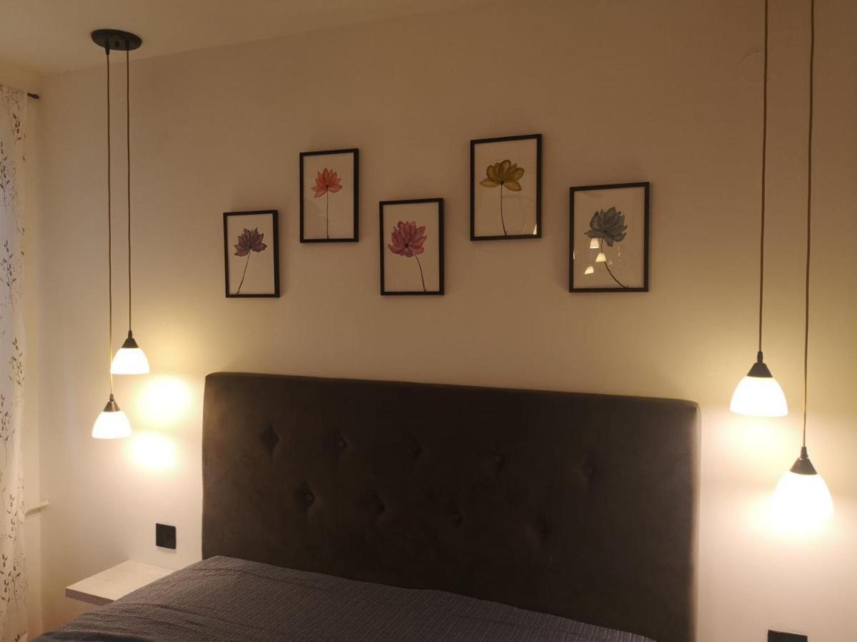 Apartman Darvin / Lux Belgrad Zewnętrze zdjęcie