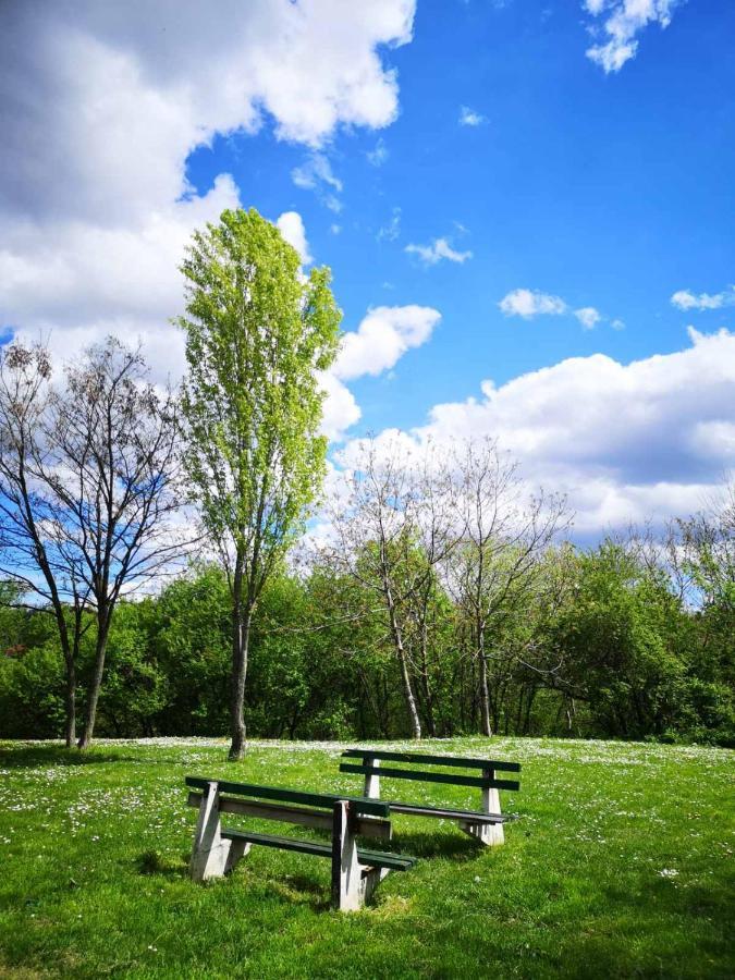 Apartman Darvin / Lux Belgrad Zewnętrze zdjęcie